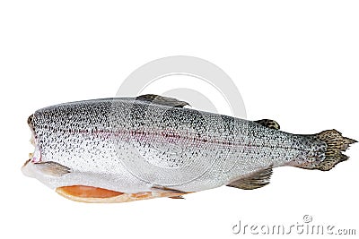 Whole Fresh, potted fish. Vitamins and a healthy diet. Isolated on a white background. Top view Stock Photo
