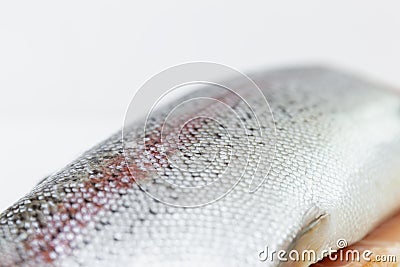 Whole Fresh, shelled red fish. Vitamins and a healthy diet. Side view. Space for text Stock Photo