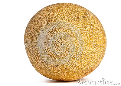 Whole Galia Melon on white. Stock Photo