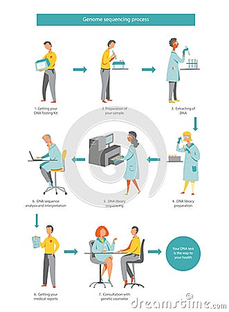 DNA test, whole genome sequencing workflow Vector Illustration