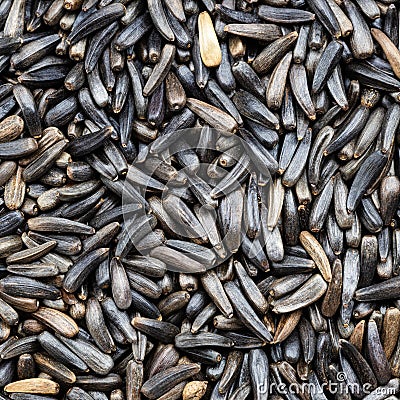 Whole-grain niger seeds close up Stock Photo