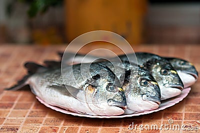 Whole griled dorada fish Stock Photo