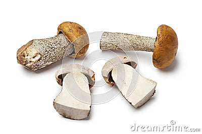 Whole and half birch bolete Stock Photo