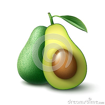 Whole and half cut avocado Vector Illustration