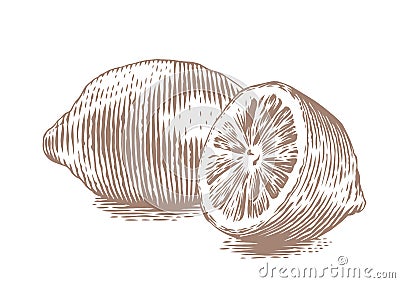 Whole and half lemon Vector Illustration