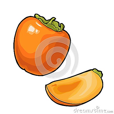 Whole and half persimmon. Vector vintage engraving color Vector Illustration