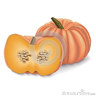 Whole and half of Pink pumpkins Vector Illustration