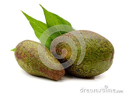 Avocado Isolated on White Background. Stock Photo