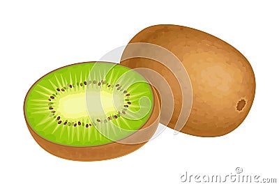 Whole and Halved Kiwifruit or Kiwi as Edible Berry with Fibrous Brown Skin and Green Flesh Vector Illustration Vector Illustration