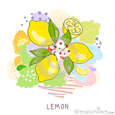 Whole lemon cut in half, slice, clipping path isolated on a white background. Set Vector Illustration