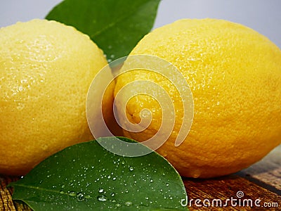 Whole lemons and leaf. Fruit image Stock Photo