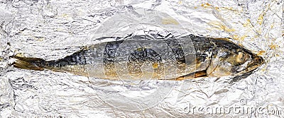 Whole mackerel fish baked in foil Stock Photo