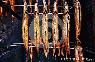 Whole mackerel freshly smoked as healthy food. Scomber Scombrus Stock Photo