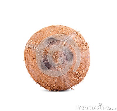 A whole nutritious coconut, on a white background. Healthful, fresh and organic brown coconut. Freshness, nature, summer Stock Photo