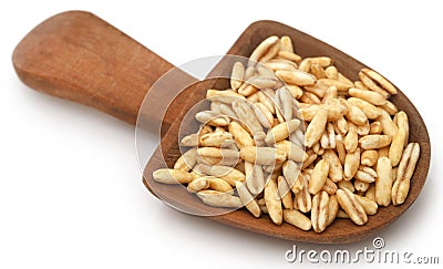 Whole oats closeup Stock Photo