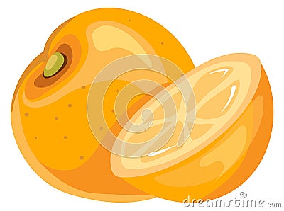 Whole orange and half fruit cut cartoon icon Vector Illustration