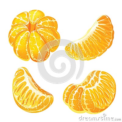 Whole peeled tangerine and peeled mandarin slices Vector Illustration