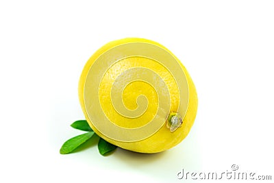 Whole perfect lemon with green leaves on white isolated background Stock Photo