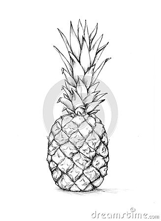 A whole pineapple Stock Photo