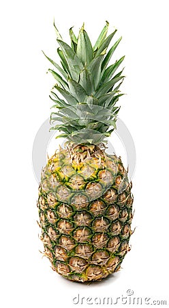 Whole Pineapple Isolated, Whole Ananas, Comosus Tropical Fruit, Ripe Pine Apple on White Stock Photo