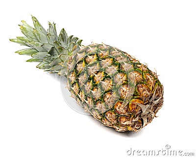 Whole Pineapple Isolated, Whole Ananas, Comosus Tropical Fruit, Ripe Pine Apple on White Stock Photo