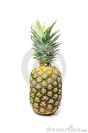 Whole Pineapple Isolated, Whole Ananas, Comosus Tropical Fruit, Ripe Pine Apple on White Stock Photo