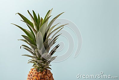 Whole pineapple on pastel blue background. Copy space Stock Photo