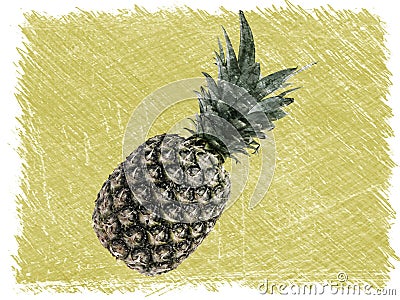 Whole pineapple skech drawing. Top view, copy space Stock Photo