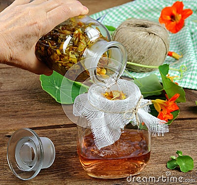 Filtering tincture from Tropaeolum majus, also called garden nasturtium or Indian cress Stock Photo