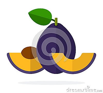 The whole plum with a leaf and a slice of plum with a stone flat isolated Vector Illustration