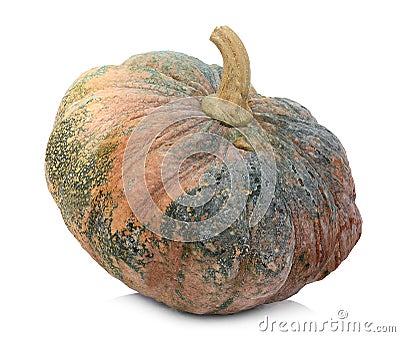 Whole pumpkin isolated on white Stock Photo