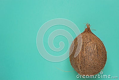 Whole Ripe Coconut on Turquoise Light Green Background. Corner Position. Template for Poster Flyer. Tropical Vacation Wellness Spa Stock Photo