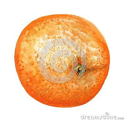 Whole ripe orange Stock Photo