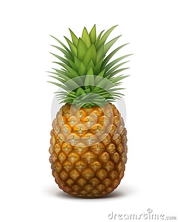 Whole ripe pineapple Vector Illustration