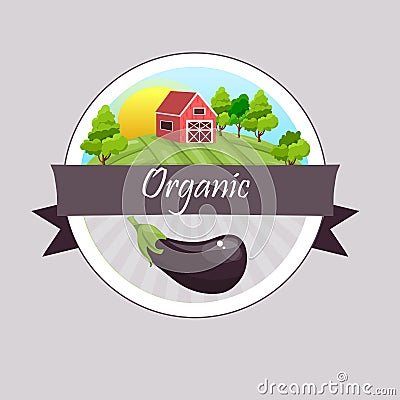 Whole ripe vegetable purple eggplant,with green stem Vector Illustration