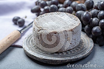 Whole round mature French Tomme cheese close up Stock Photo