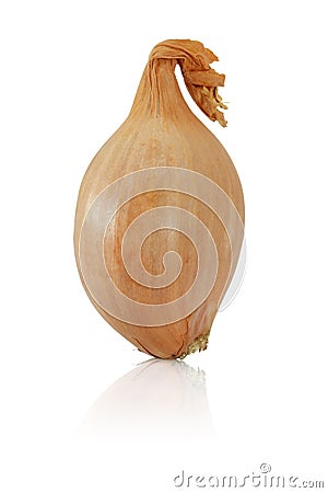 Whole shallot Stock Photo