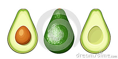 Whole and sliced avocado fruit. Vector illustration. Vector Illustration