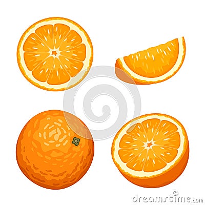 Whole and sliced orange fruits isolated on white. Vector illustration. Vector Illustration