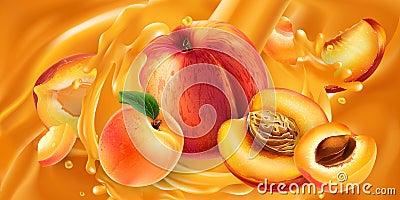 Whole and sliced peaches and apricots in fruit juice. Vector Illustration