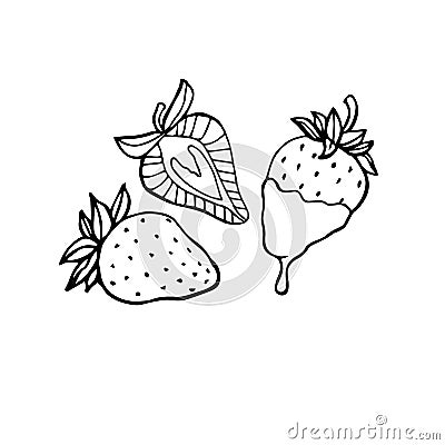 Whole and sliced strawberries hand drawn vector illustration, set of isolated cartoon style outline fruits Cartoon Illustration