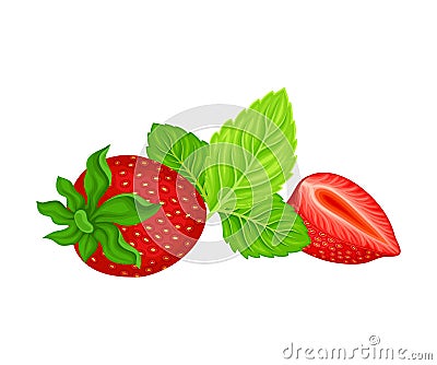 Whole Strawberry Mature Red Fruit with Green Leaves and Flower Vector Illustration Vector Illustration