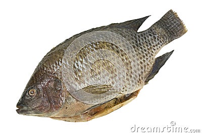 Whole Tilapia Fish Isolated Stock Photo