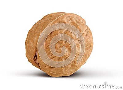 Whole walnut isolated on white background Stock Photo