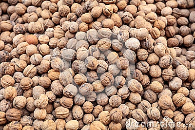 Whole walnuts in shell background Stock Photo