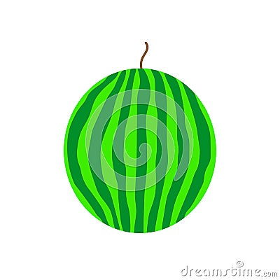 The whole watermelon Vector Illustration