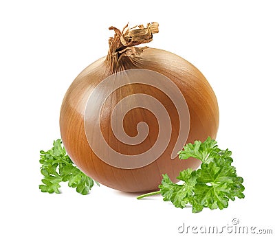 Whole yellow onion parsley on white background Stock Photo