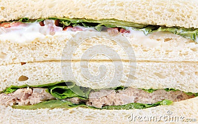 Wholewheat tuna sandwich Stock Photo