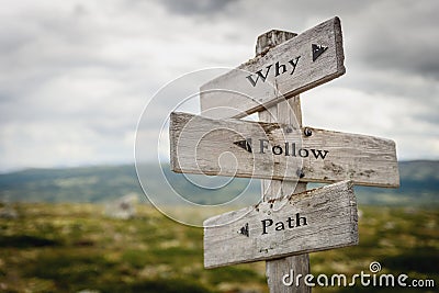 why follow path text engraved on old wooden signpost outdoors in nature Cartoon Illustration