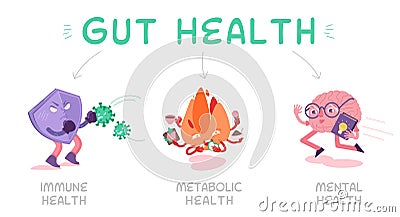 Why gut health matters. Landscape vector poster. Vector Illustration